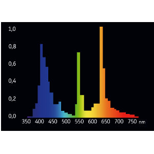 Giesemann 24 Inch 24W Pure Actinic T5HO Bulb