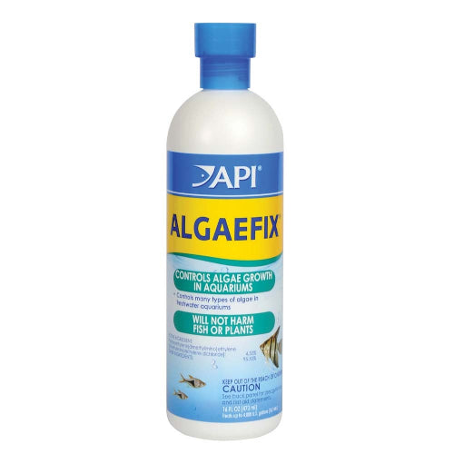 API AlgaeFix