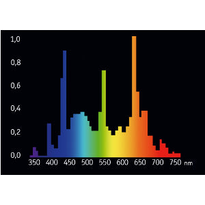 Giesemann 36 Inch 39W Midday T5HO Bulb