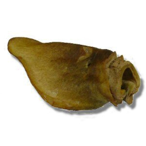 Cows ears