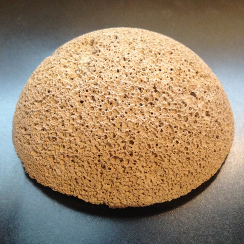 Brightwell Aquatics HemiXSphere