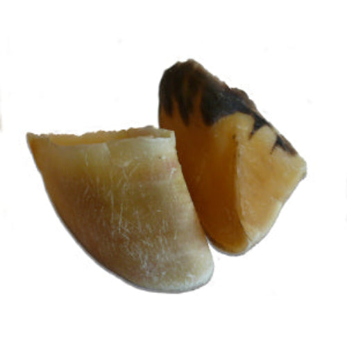 Cattle Hooves