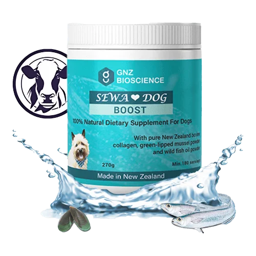 Sewa Dog Boost