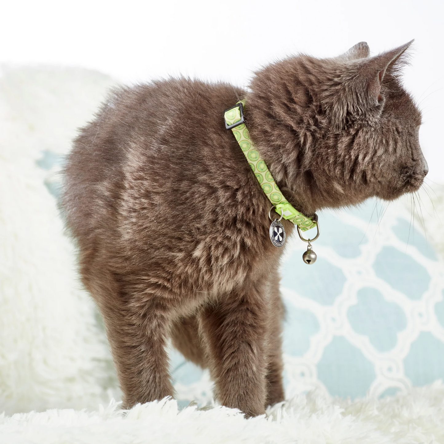 Smart ID Collar