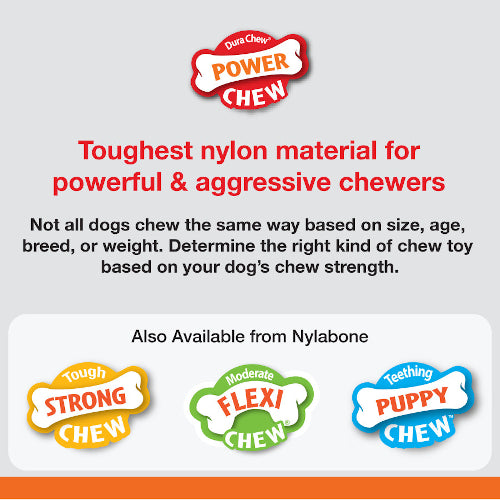Nylabone Double Action Power Chew Durable Dog Toy