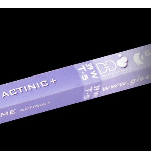 Giesemann 24 Inch 24W Actinic+ T5HO Bulb